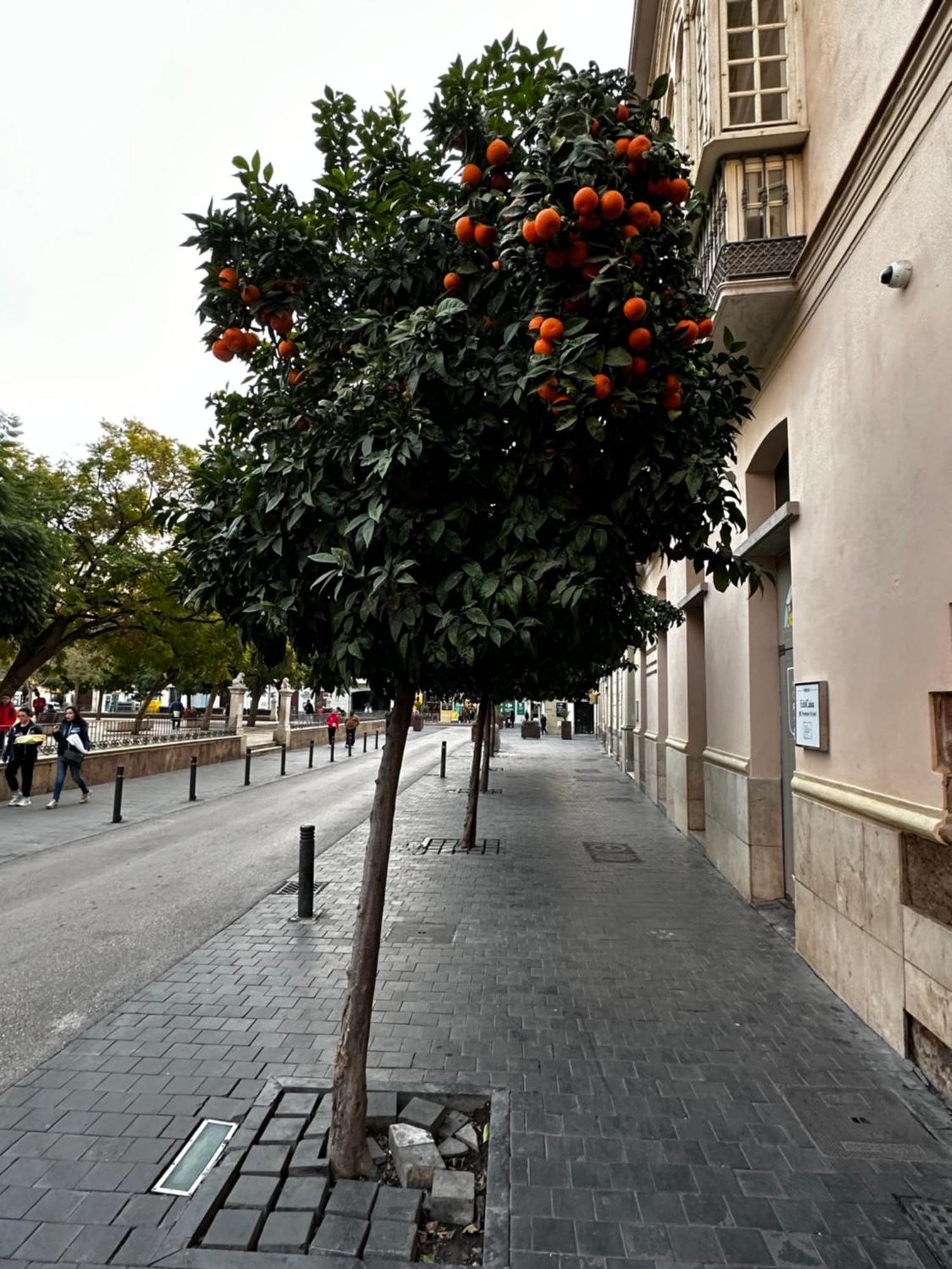 Malaga'S Secret Lägenhet Exteriör bild